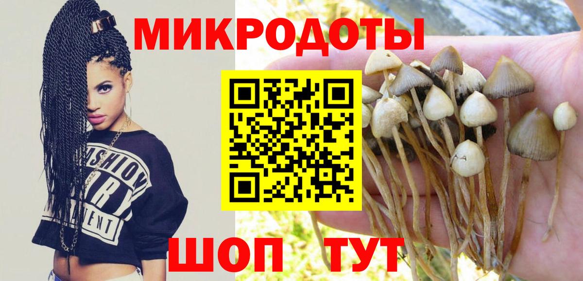 Галлюциногенные грибы ЛСД Прохладный
