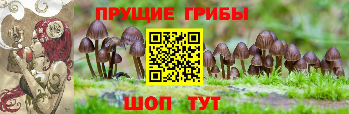 Галлюциногенные грибы мицелий  Вход с VPN  Прохладный 